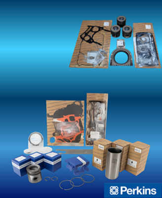 Perkins Revizyon <br> Kitleri